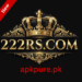 222RS Game