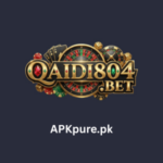 Qaidi804 Game